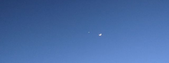 ゆきしろさんの壁紙画像