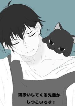 猫扱いしてくる先輩がしつこいです！