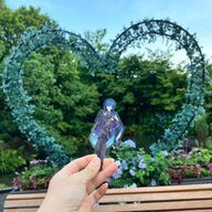 輝月 瑞奈𓂃 𓈒𓏸 さんのアイコン画像