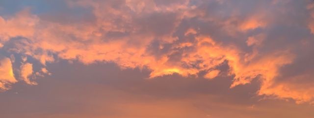 れん🍁さんの壁紙画像