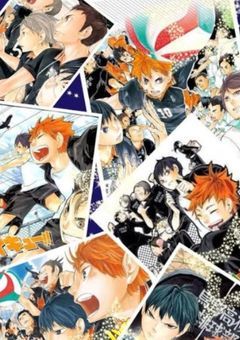 天才バレー女子は烏野のマネージャー