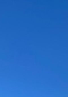 あなたと飲む紅茶一杯