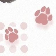 金平糖さんのアイコン画像
