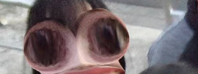 水兎 衣夢 🥀𓂃𓈒𓏸𓂃◌𓈒 久しぶり。さんの壁紙画像