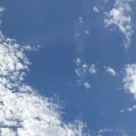 ねこさんのアイコン画像