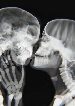 年 上 彼 氏 は 純 粋 で す