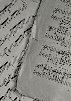 1 度 き り の 人 生