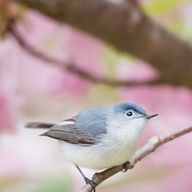 \( 'ω')/ｴﾝﾀﾞｧｧｧｧｧｧｧｧｧｧｧｧｧｲﾔｧｧｧさんのアイコン画像