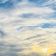 Kinsさんのアイコン画像