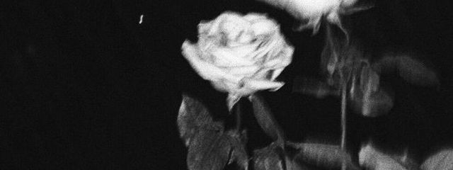 ﾂｷ🌙.*·̩͙さんの壁紙画像