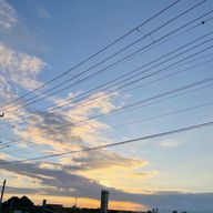 あんぱん🐑🧩さんのアイコン画像