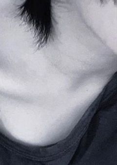 なんだ … 此奴ら ……