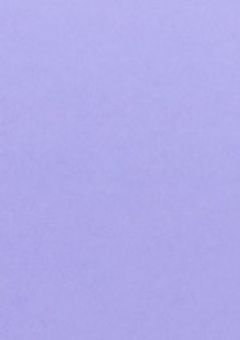 絶対に惚れません！書き直し中