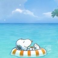 Lish🐤さんのアイコン画像