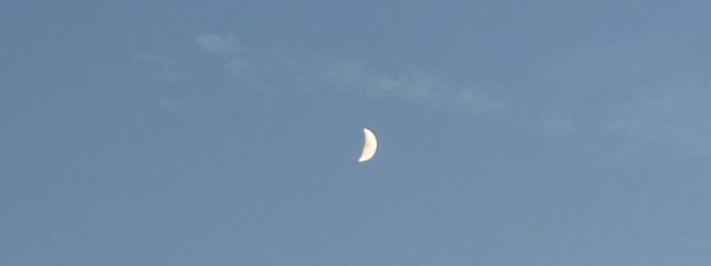 ゆいさんの壁紙画像