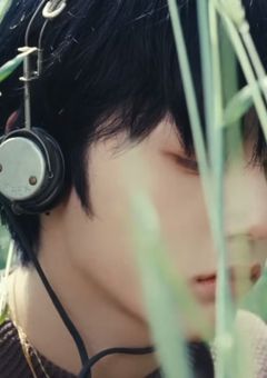 𝘝𝘪𝘰𝘭𝘪𝘯  . 