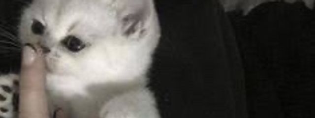 ︎ ︎ ︎ ︎ ︎ ︎ ︎ ︎ ︎ ︎ ︎ ︎ ︎ ︎ ︎ さんの壁紙画像