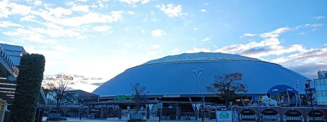 ゆきさんの壁紙画像