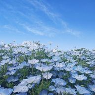 ゆきさんのアイコン画像