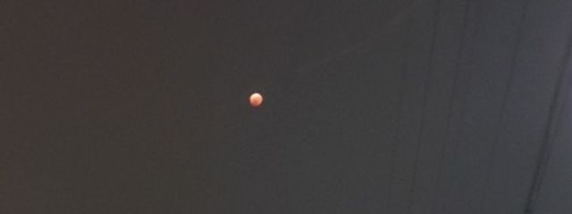 チェリーさんの壁紙画像