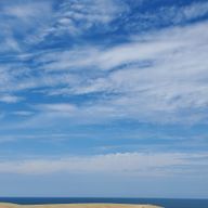 チェリーさんのアイコン画像