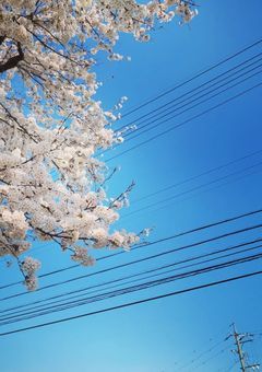 雑談をしようとした