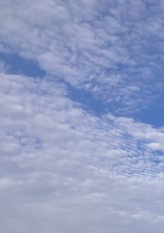 あらすじだけ書くので…