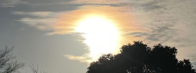 めーむさんの壁紙画像