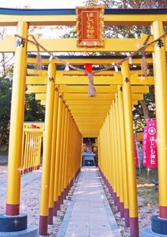 幸運神社⛩️🍀✨