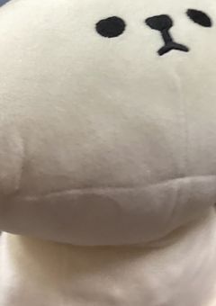 いろんな部屋