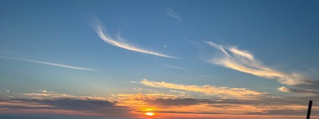 しのさんの壁紙画像