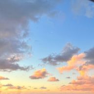 しのさんのアイコン画像