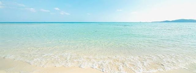 ひぃ茶さんの壁紙画像