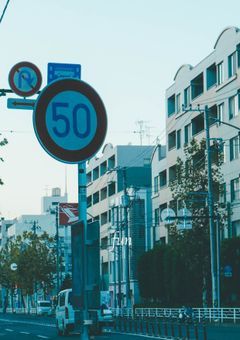 　ㅤㅤ⠀ドライフラワーみたいな関係で