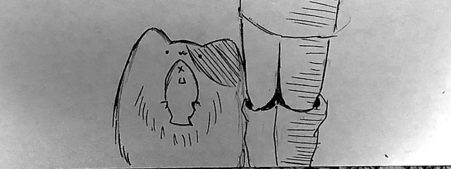 通りすがりの猫さんの壁紙画像