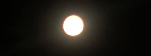 柚さんの壁紙画像