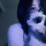 📕🐱さんのアイコン画像