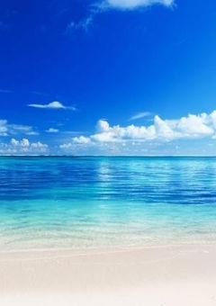 今日好き　夏休み編