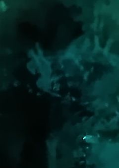 　︵　愛　、　哀　、　アイ　…　¿ ¿