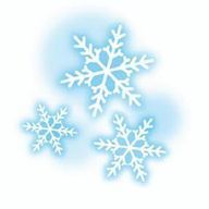 冬空深雪さんのアイコン画像