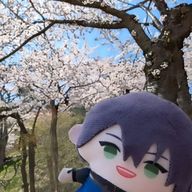 ここさんのアイコン画像