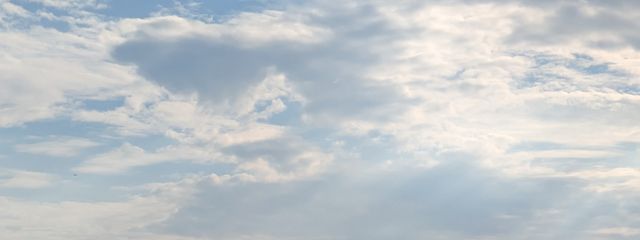 はなさんの壁紙画像