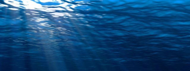 L.さんの壁紙画像