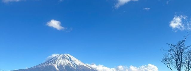 ゆにゃさんの壁紙画像