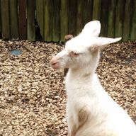 ゆにゃさんのアイコン画像