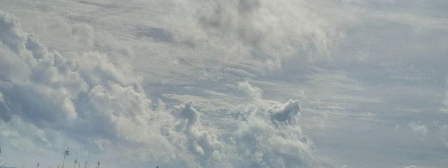 東屋夏月(元紫篠ホタル)@あけおめことよろさんの壁紙画像