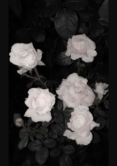 # 今日もメンタルが不調な件 .