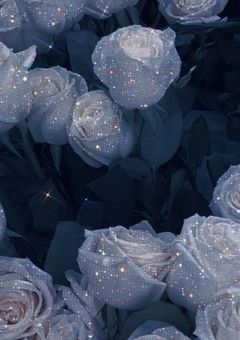 # 私は無実です .