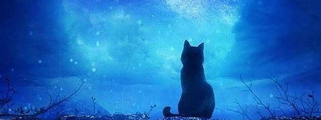 優音さんの壁紙画像