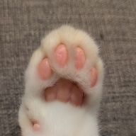 かんさんのアイコン画像